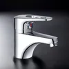 Hot Cold Water Faucets Mixer Chrome Single Handle Basin Faucet