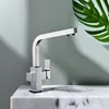 Two Handle Chrome Kitchen Sink Faucet Water Filter Tri-Flow Mixer